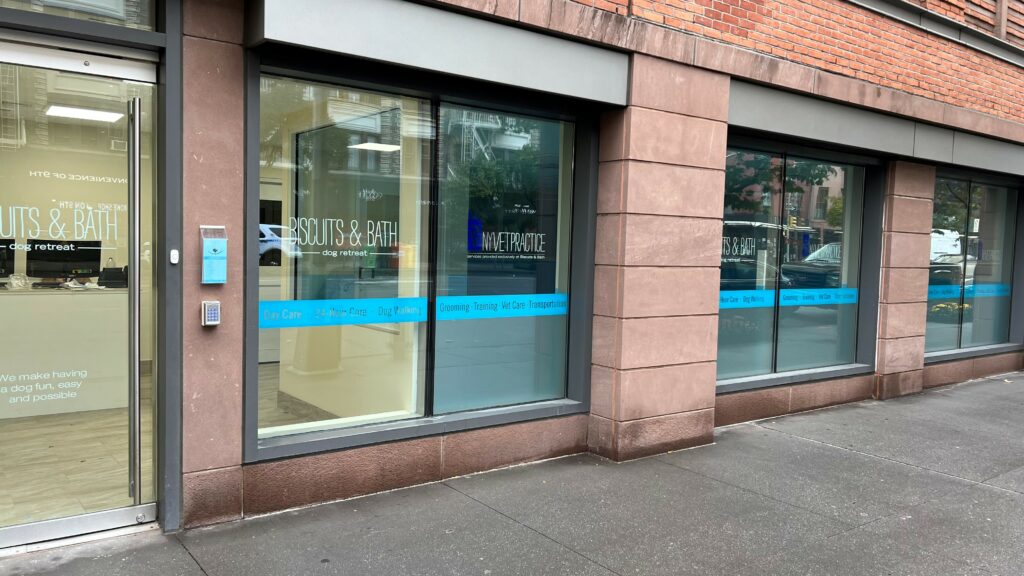 exterior of west chelsea dog daycare