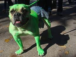 dog_hulk