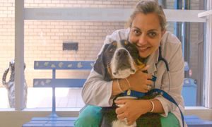 vet-pic-2