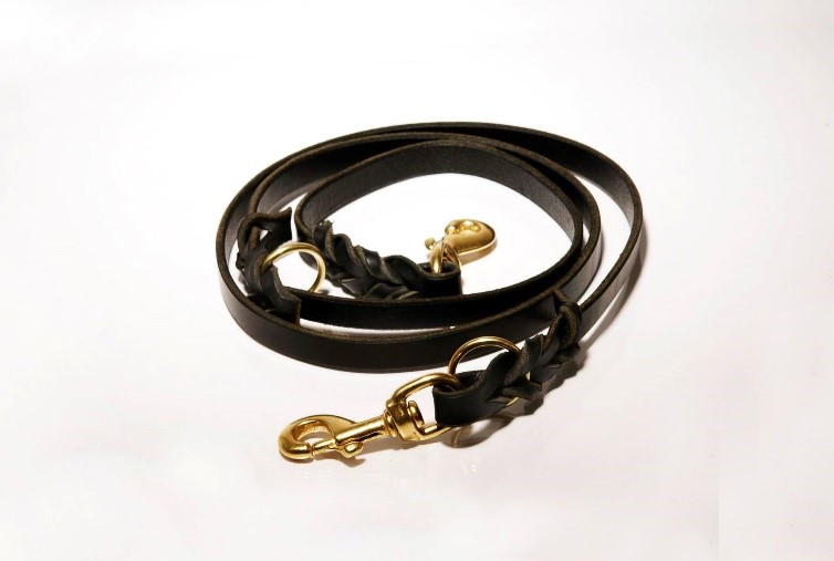 Convertible Leash