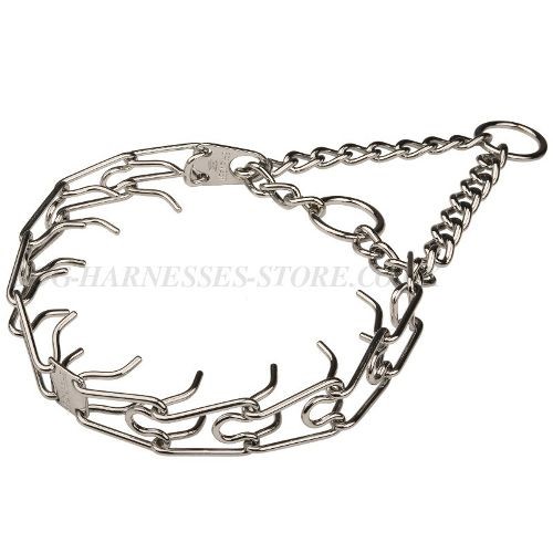 Prong Pinch Collar