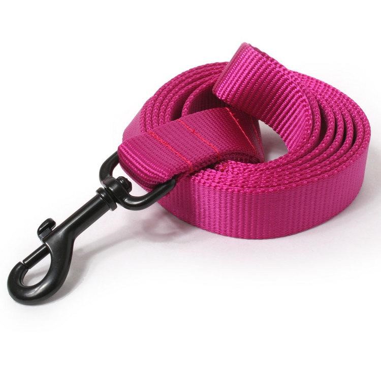 Standard 4ft - 6ft Leashes